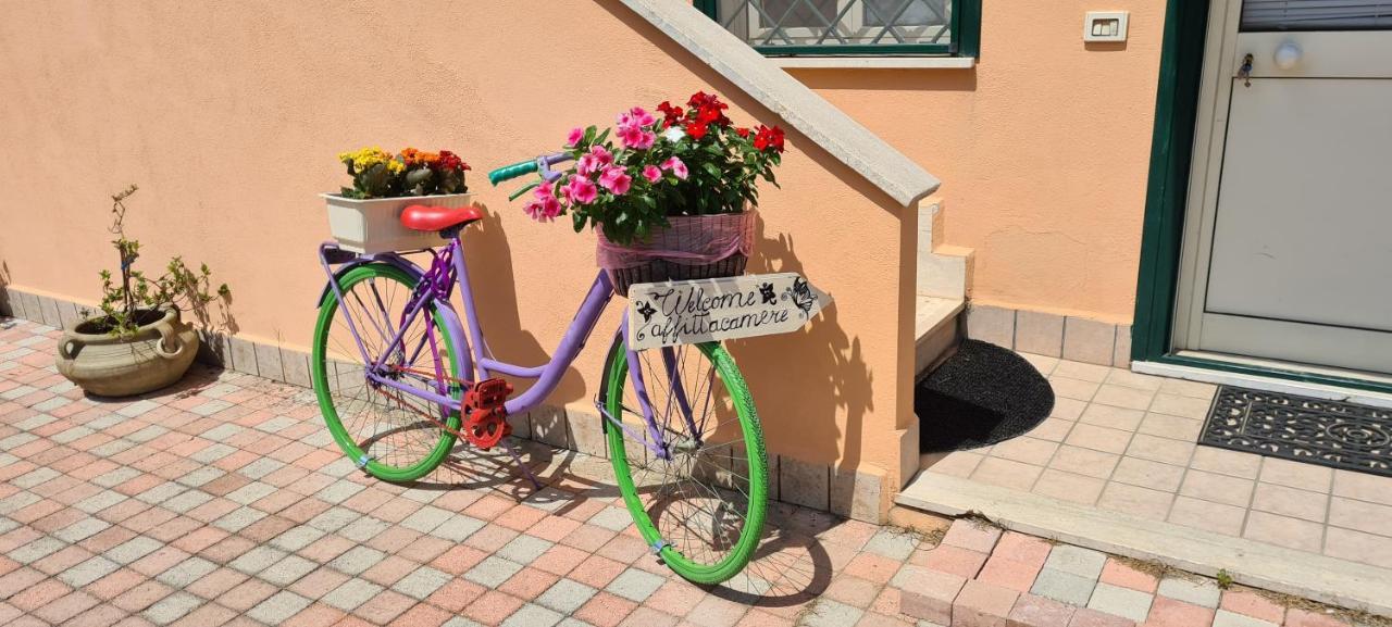 I Villini B&B Fiumicino Esterno foto